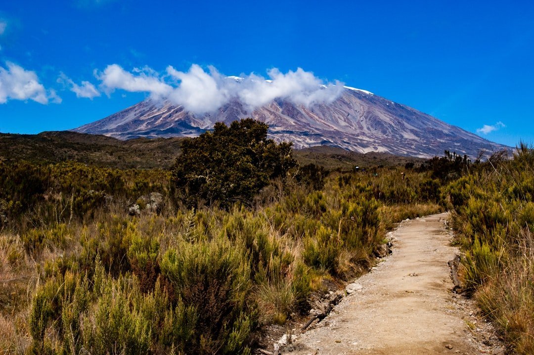 5 Tips For A Successful Mount Kilimanjaro Trekking Tour